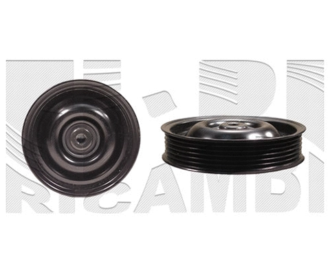 Deflection/Guide Pulley, V-ribbed belt (FI16970)