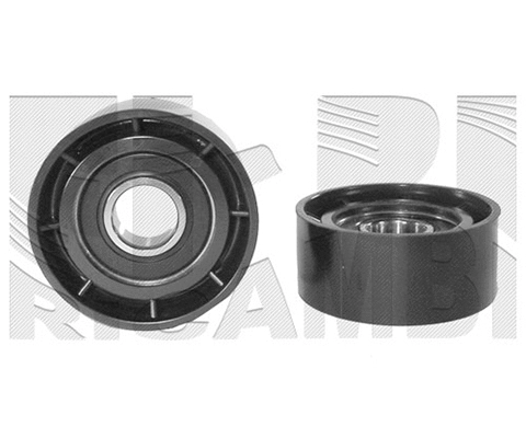 Deflection/Guide Pulley, V-ribbed belt (FI8430)