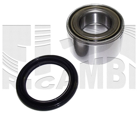 Wheel Bearing Kit (RK1572)