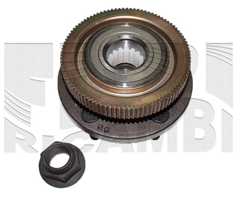 Wheel Bearing Kit (RK6001)