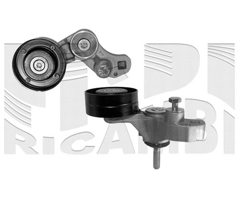 Belt Tensioner, V-ribbed belt (FI8810)