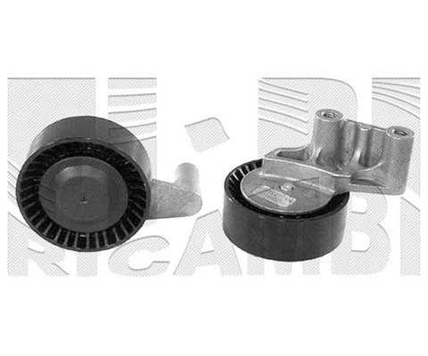Deflection/Guide Pulley, V-ribbed belt (FI10560)