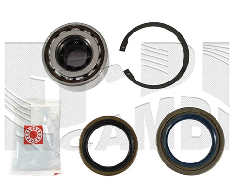 Wheel Bearing Kit (RK1917)