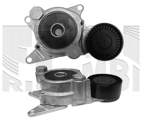 Belt Tensioner, V-ribbed belt (FI14940)