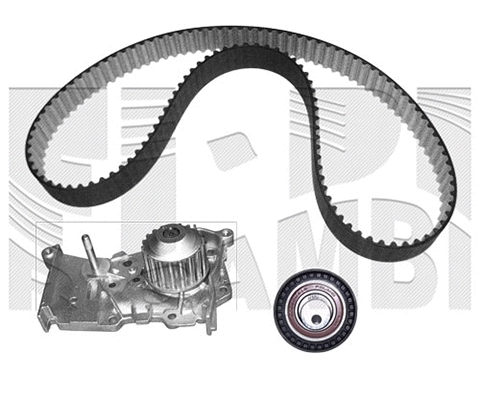 Water Pump & Timing Belt Kit (WKFI633)