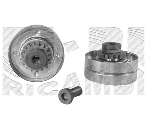 Tensioner Pulley, V-ribbed belt (FI1250)