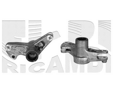 Belt Tensioner, V-ribbed belt (FI5470)