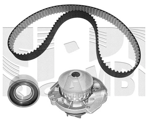 Water Pump & Timing Belt Kit (WKFI195)