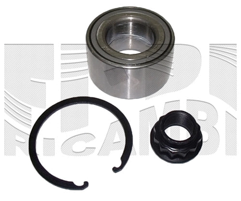 Wheel Bearing Kit (RK1866)
