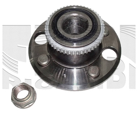 Wheel Bearing Kit (RK2028)