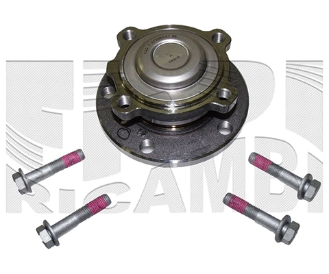 Wheel Bearing Kit (RK4953)