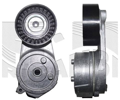 Belt Tensioner, V-ribbed belt (FI22280)