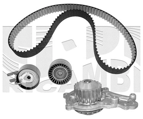 Water Pump & Timing Belt Kit (WKFI201)
