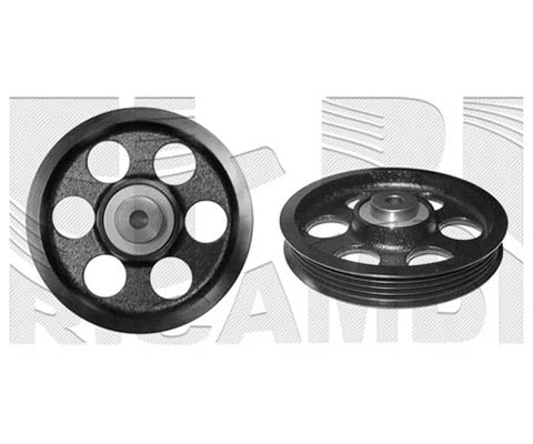 Deflection/Guide Pulley, V-ribbed belt (FI11640)