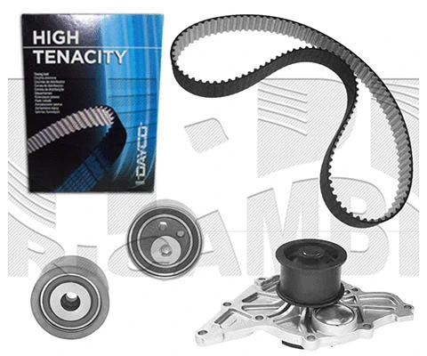 Water Pump & Timing Belt Kit (WKFI346)