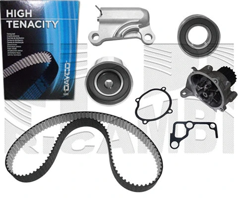Water Pump & Timing Belt Kit (WKFI369)