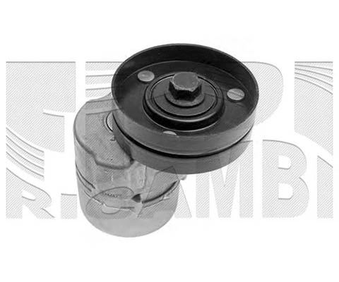 Belt Tensioner, V-ribbed belt (FI11440)