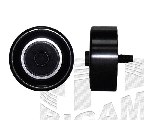 Deflection/Guide Pulley, V-ribbed belt (FI21430)