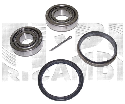 Wheel Bearing Kit (RK3021)