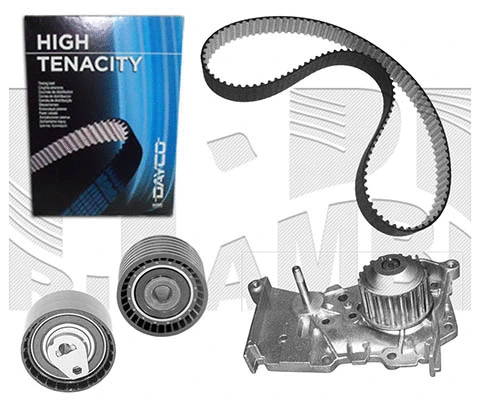 Water Pump & Timing Belt Kit (WKFI356)