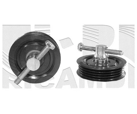 Belt Tensioner, V-ribbed belt (FI10940)