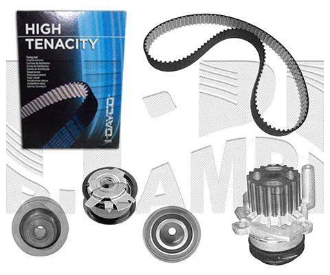 Water Pump & Timing Belt Kit (WKFI313)