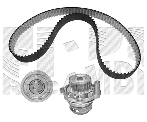 Water Pump & Timing Belt Kit (WKFI146)