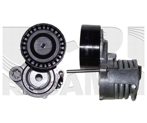 Belt Tensioner, V-ribbed belt (FI19920)