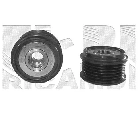 Alternator Freewheel Clutch (FI10650)