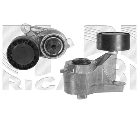 Belt Tensioner, V-ribbed belt (FI5170)