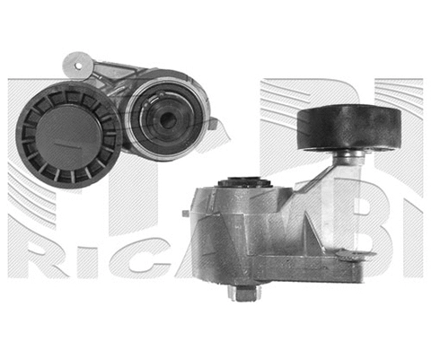 Belt Tensioner, V-ribbed belt (FI2660)