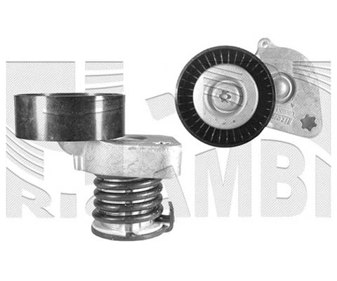 Belt Tensioner, V-ribbed belt (FI12640)