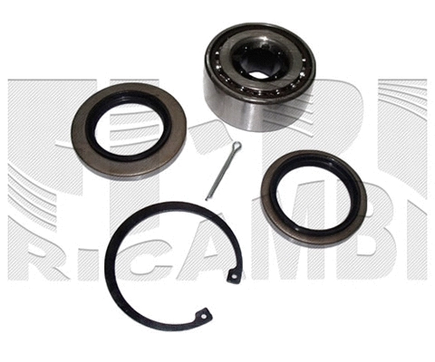Wheel Bearing Kit (RK1915)