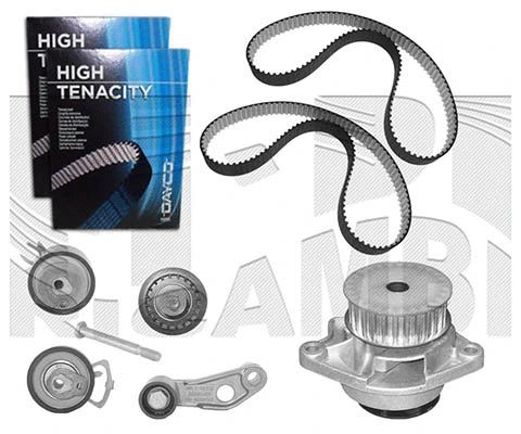 Water Pump & Timing Belt Kit (WKFI246)
