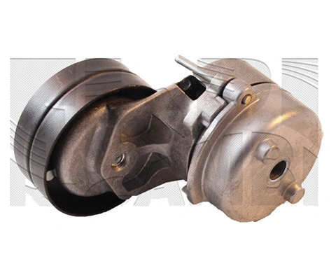 Belt Tensioner, V-ribbed belt (FI19830)