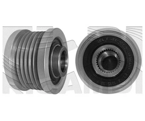 Alternator Freewheel Clutch (FI14230)