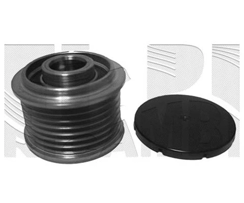 Alternator Freewheel Clutch (FI14100)