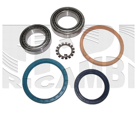 Wheel Bearing Kit (RK6701)