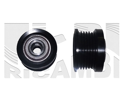 Alternator Freewheel Clutch (FI23950)