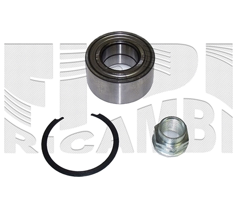 Wheel Bearing Kit (RK10480)