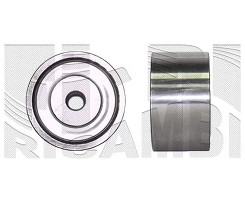 Deflection/Guide Pulley, V-ribbed belt (FI21100)