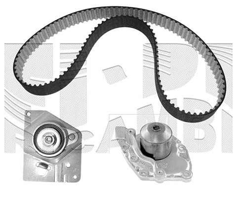 Water Pump & Timing Belt Kit (WKFI362)