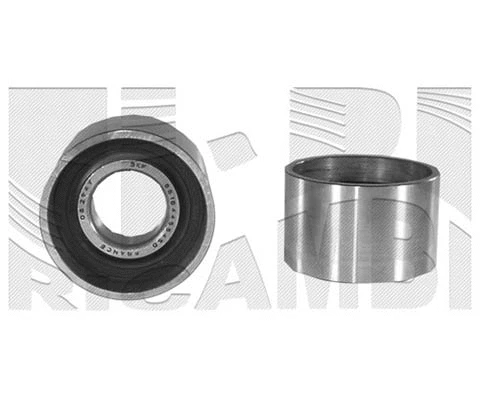 Deflection/Guide Pulley, timing belt (FI0640)