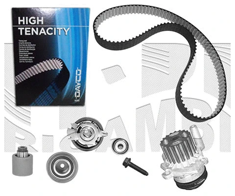 Water Pump & Timing Belt Kit (WKFI433)