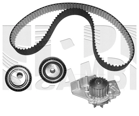 Water Pump & Timing Belt Kit (WKFI451)