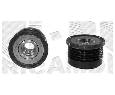 Alternator Freewheel Clutch (FI10570)
