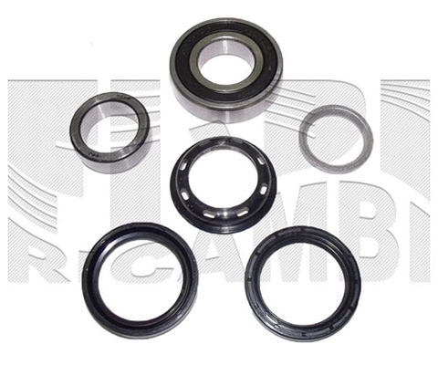 Wheel Bearing Kit (RK2363)