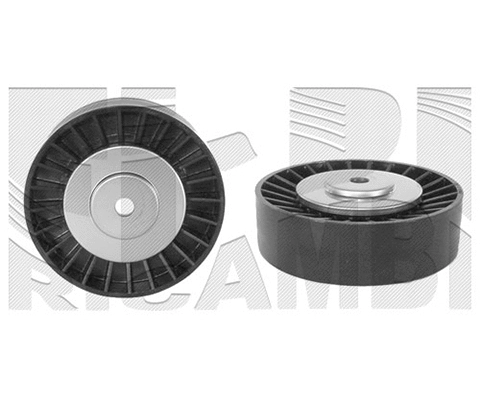 Deflection/Guide Pulley, V-ribbed belt (FI5610)