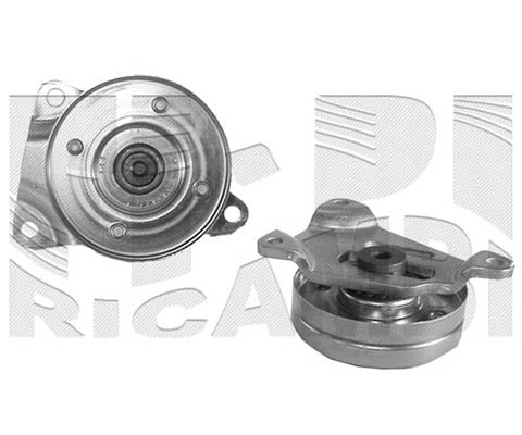 Belt Tensioner, V-ribbed belt (FI1230)