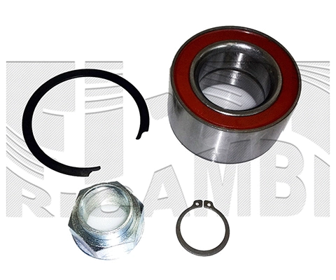 Wheel Bearing Kit (RK10540)